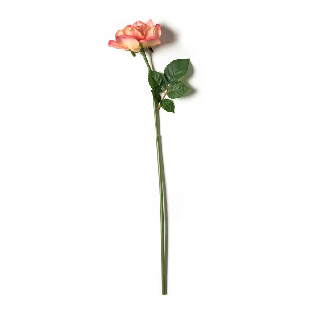 Cheapest ๐งจ Pink Rose Stem by Ashland® โ 3 Cheapest ๐งจ Pink Rose Stem by Ashland® โ