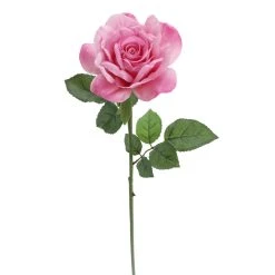 Promo 💯 6 Pack: Pink Rose Stem by Ashland® 🛒 -Ashlandty Shop 10626868 4