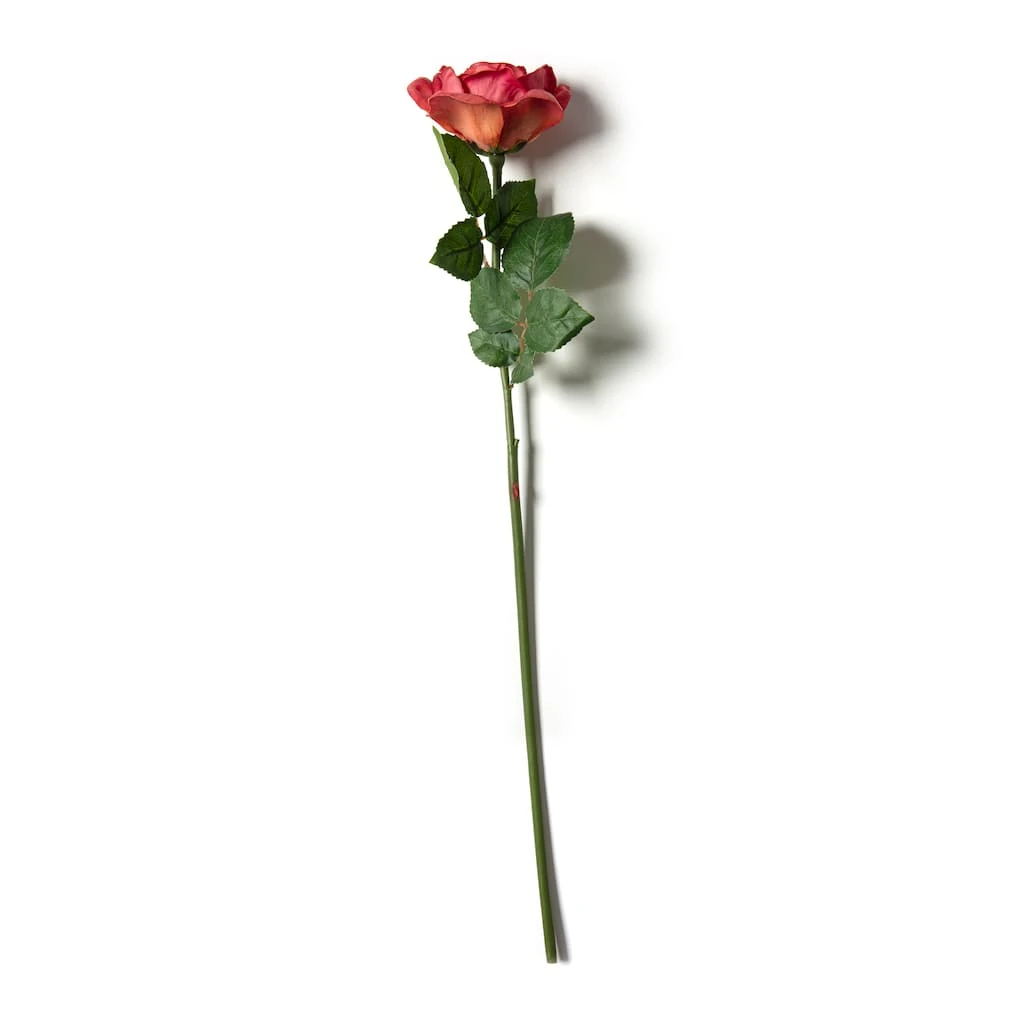 Deals 🌟 Fuchsia Rose Stem by Ashland® ⌛ 3 Deals 🌟 Fuchsia Rose Stem by Ashland® ⌛