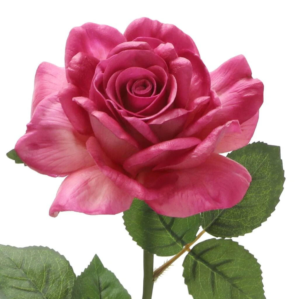 Best Sale ⌛ 6 Pack: Fuchsia Rose Stem by Ashland® ⌛ 4 Best Sale ⌛ 6 Pack: Fuchsia Rose Stem by Ashland® ⌛ - Image 2