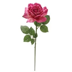 Best Sale ⌛ 6 Pack: Fuchsia Rose Stem by Ashland® ⌛ 10 Best Sale ⌛ 6 Pack: Fuchsia Rose Stem by Ashland® ⌛ -Ashlandty Shop 10626870 4