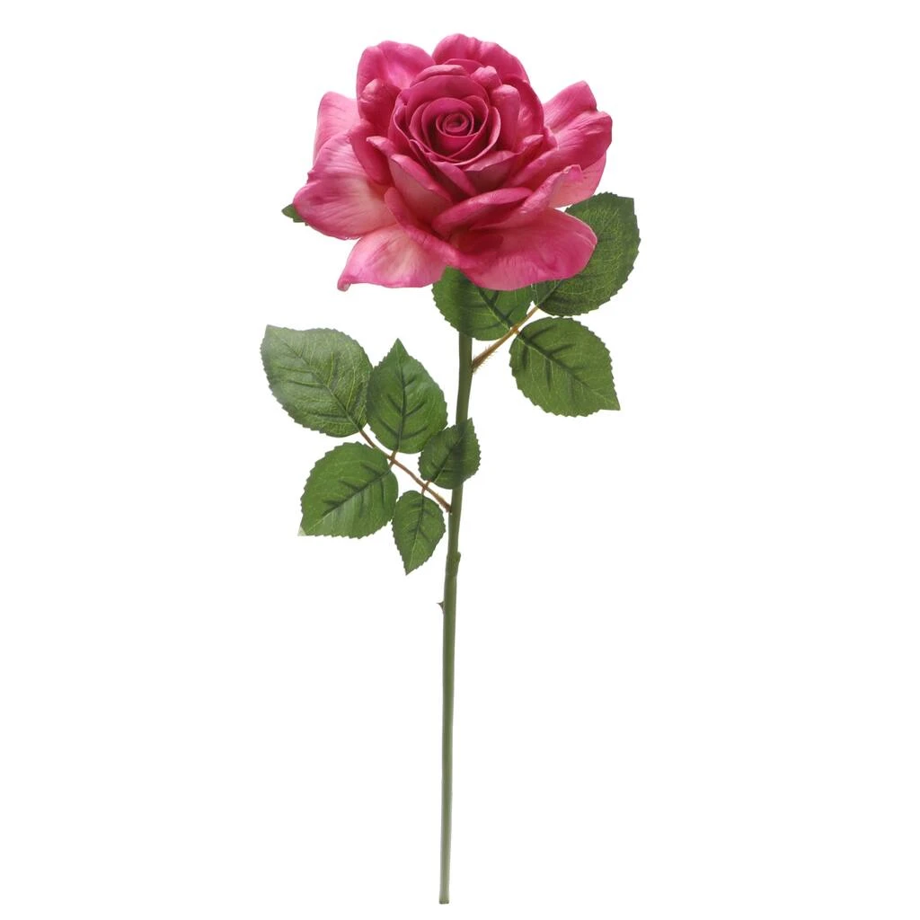 Best Sale ⌛ 6 Pack: Fuchsia Rose Stem by Ashland® ⌛ 5 Best Sale ⌛ 6 Pack: Fuchsia Rose Stem by Ashland® ⌛ - Image 3