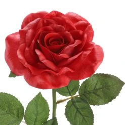 Outlet 🔔 6 Pack: Red Rose Stem by Ashland® ✨ 9 Outlet 🔔 6 Pack: Red Rose Stem by Ashland® ✨ -Ashlandty Shop 10626872 3