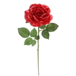 Outlet 🔔 6 Pack: Red Rose Stem by Ashland® ✨ 10 Outlet 🔔 6 Pack: Red Rose Stem by Ashland® ✨ -Ashlandty Shop 10626872 4