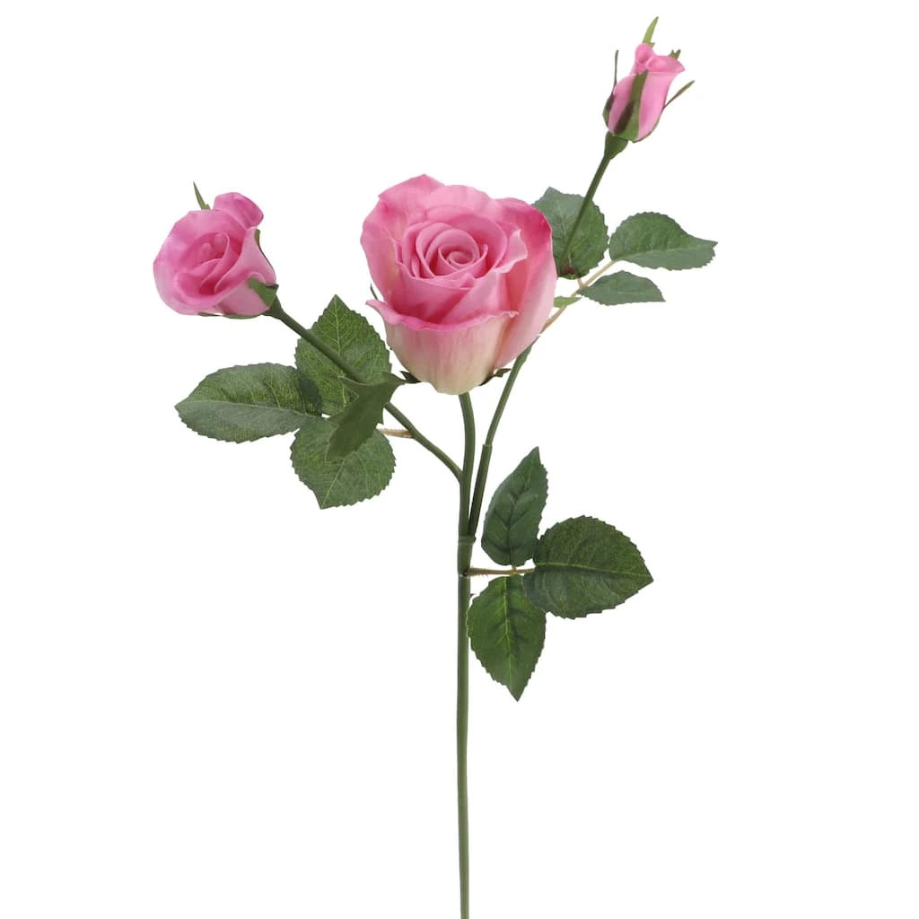 Best reviews of ❤️ 6 Pack: Pink Rose Spray by Ashland® 👏 5 Best reviews of ❤️ 6 Pack: Pink Rose Spray by Ashland® 👏 - Image 3