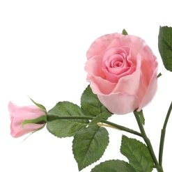 Best reviews of ⌛ 6 Pack: Blush Rose Spray by Ashland® 🔥 -Ashlandty Shop 10626876 3