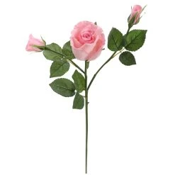 Best reviews of ⌛ 6 Pack: Blush Rose Spray by Ashland® 🔥 -Ashlandty Shop 10626876 4