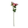Coupon 😉 Fuchsia Rose Stem by Ashland® 🤩 -Ashlandty Shop 10626878 21