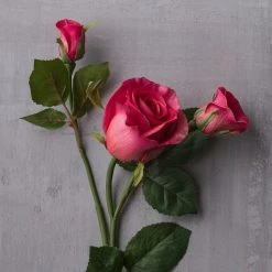 Coupon 😉 Fuchsia Rose Stem by Ashland® 🤩 -Ashlandty Shop 10626878 22