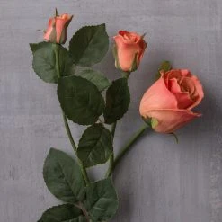 Hot Sale ❤️ Coral Rose Stem by Ashland® ⌛ -Ashlandty Shop 10626880 22