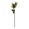 Buy π White Rose Stem by Ashland® π 2 Buy π White Rose Stem by Ashland® π -Ashlandty Shop 10626882 21