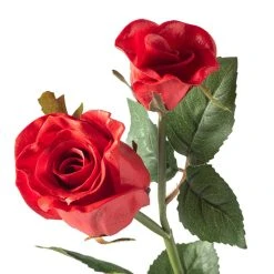 Best reviews of 👍 Red Rose Stem by Ashland® ✨ -Ashlandty Shop 10626884 20