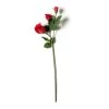 Best reviews of 👍 Red Rose Stem by Ashland® ✨ 1 Best reviews of 👍 Red Rose Stem by Ashland® ✨ -Ashlandty Shop 10626884 21