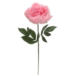 Brand new 𧨠6 Pack: Blush Peony Stem by Ashland® π 10 Brand new 𧨠6 Pack: Blush Peony Stem by Ashland® π -Ashlandty Shop 10626886 3