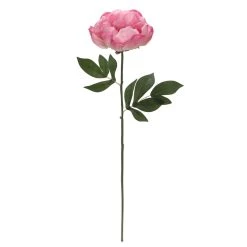 Best Sale ⭐ 6 Pack: Pink Peony Stem by Ashland® 😀