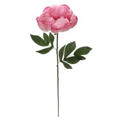 Best Sale ⭐ 6 Pack: Pink Peony Stem by Ashland® 😀 -Ashlandty Shop 10626888 4