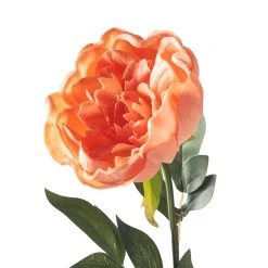 Best deal ✔️ Coral Large Peony Stem by Ashland® 🔔 -Ashlandty Shop 10626890 20
