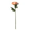 Best deal ✔️ Coral Large Peony Stem by Ashland® 🔔 -Ashlandty Shop 10626890 21