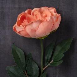 Best deal ✔️ Coral Large Peony Stem by Ashland® 🔔 -Ashlandty Shop 10626890 22
