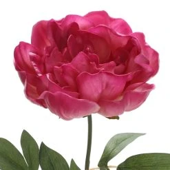 New ✨ Fuchsia Peony Stem by Ashland® ⭐ -Ashlandty Shop 10626892 3