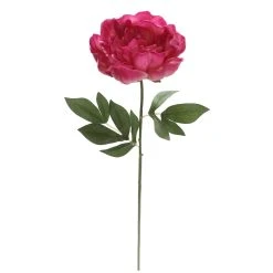 Best reviews of 🤩 6 Pack: Fuchsia Peony Stem by Ashland® ⭐ -Ashlandty Shop 10626892 4 1