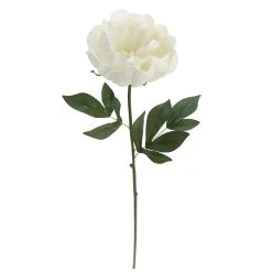 Promo 🥰 White Peony Stem by Ashland® 🔥 -Ashlandty Shop 10626894 3