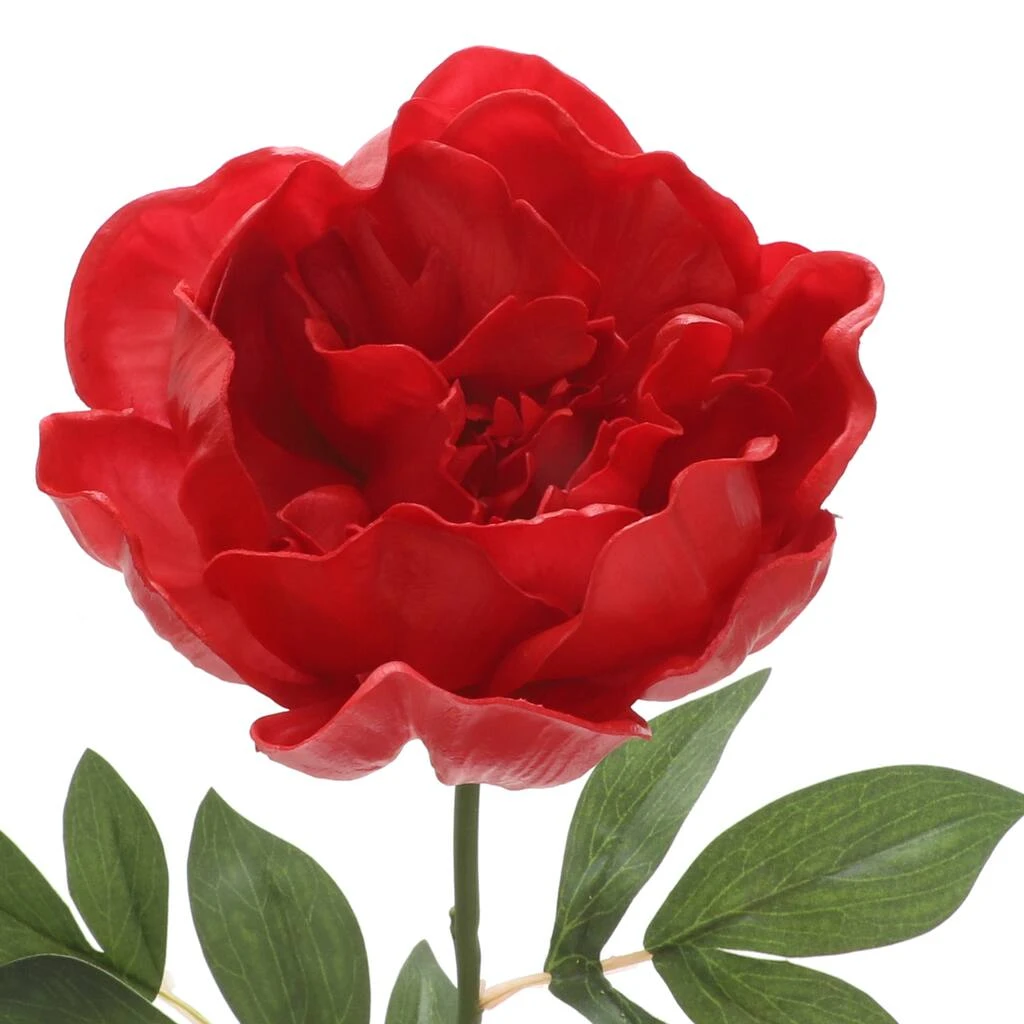 Top 10 🤩 6 Pack: Red Peony Stem by Ashland® 🔥 4 Top 10 🤩 6 Pack: Red Peony Stem by Ashland® 🔥 - Image 2