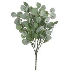 Best deal ⌛ Eucalyptus Bush by Ashland® 🛒