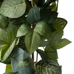 Promo 😍 6 Pack: Green Hanging Fittonia Bush by Ashland® 💯 -Ashlandty Shop 10626924 20 1