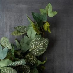 Deals 🥰 Green Hanging Fittonia Bush by Ashland® ⌛ -Ashlandty Shop 10626924 25