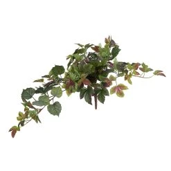 New 🌟 Green & Purple Hanging Cottonwood Bush by Ashland® ❤️ -Ashlandty Shop 10626926