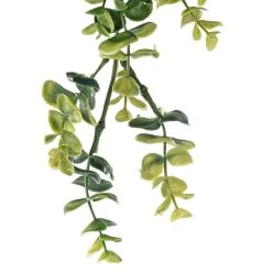 Coupon 😍 6 Pack: Green Hanging Eucalyptus Bush by Ashland® ⌛ -Ashlandty Shop 10626930 20