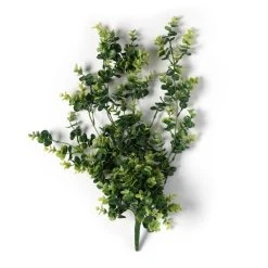 Coupon 😍 6 Pack: Green Hanging Eucalyptus Bush by Ashland® ⌛