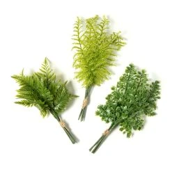 Top 10 ⌛ 12 Pack: Assorted Green Fern Bundle by Ashland® ✨