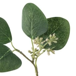 New 😀 12 Pack: Assorted Green Eucalyptus & Berry Pick by Ashland® ✨ -Ashlandty Shop 10626934 20 1