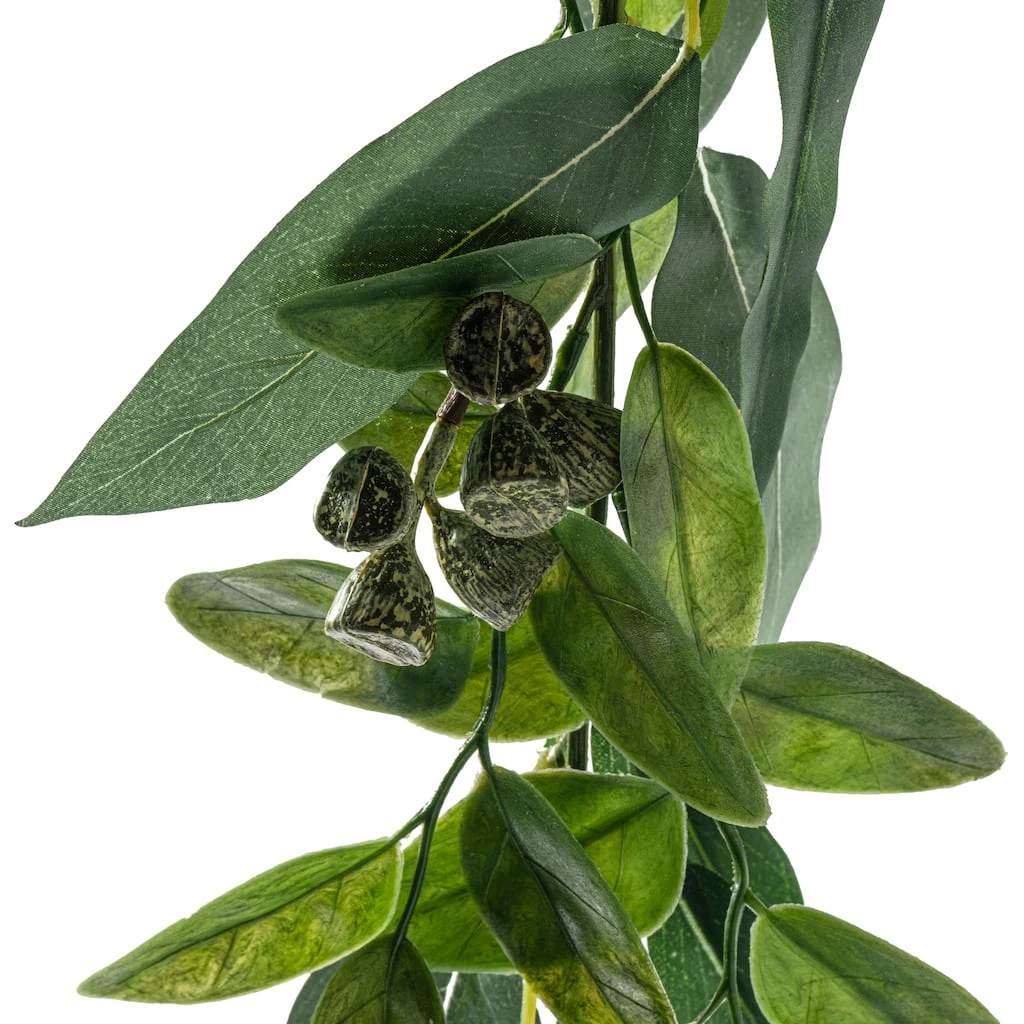 Discount π 6 Pack: 6ft. Eucalyptus Garland with Green Berries by Ashland® π 5 Discount π 6 Pack: 6ft. Eucalyptus Garland with Green Berries by Ashland® π - Image 3
