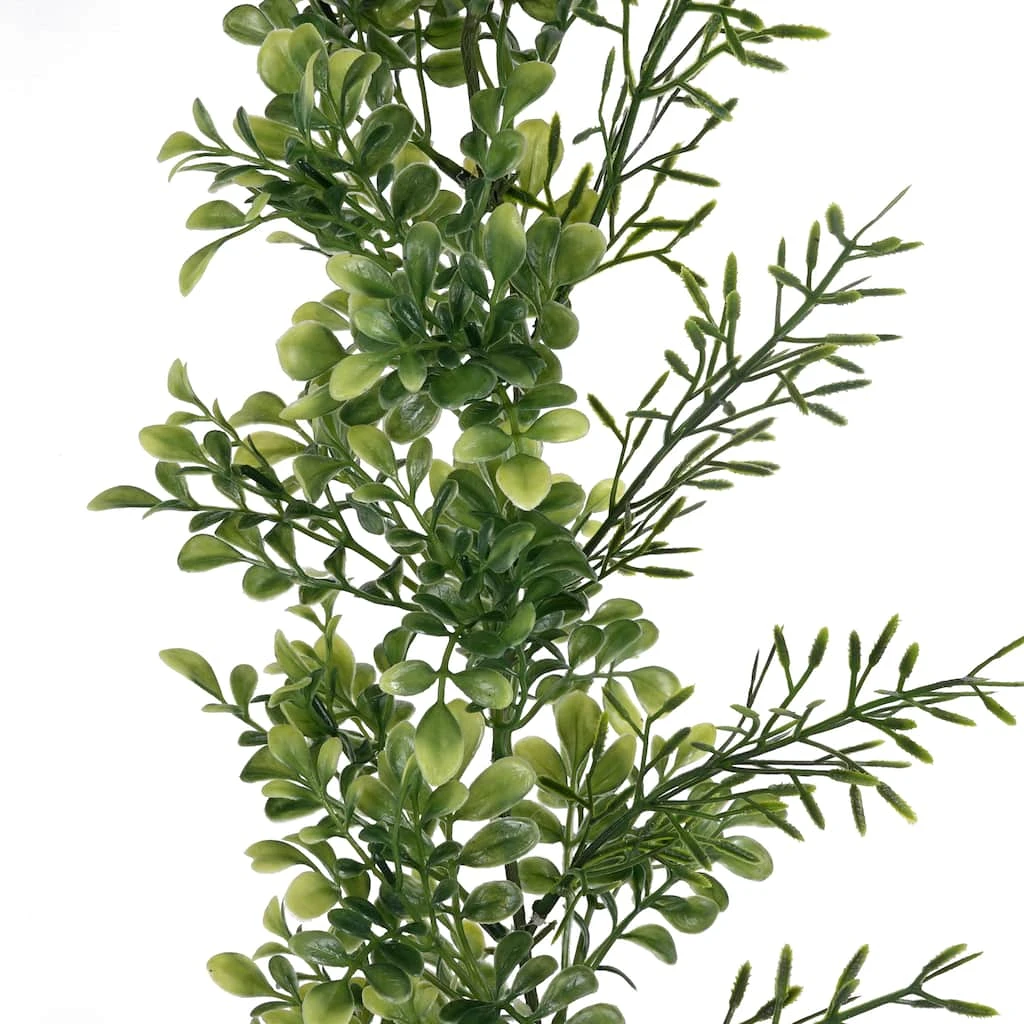 Deals 🧨 6 Pack: 6ft. Green Boxwood Garland by Ashland® ❤️ 4 Deals 🧨 6 Pack: 6ft. Green Boxwood Garland by Ashland® ❤️ - Image 2