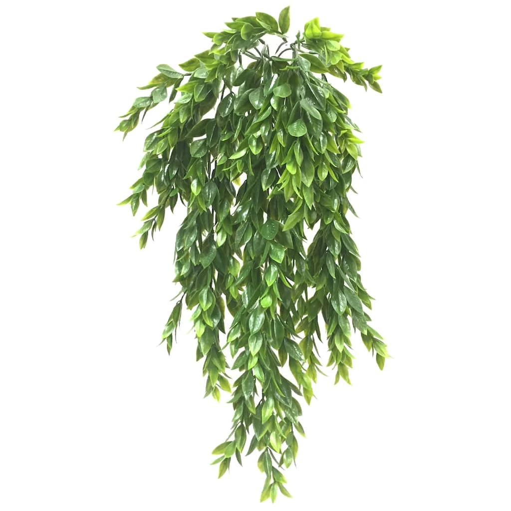 Best Sale π Hanging Ruscus Bush by Ashland® π 3 Best Sale π Hanging Ruscus Bush by Ashland® π