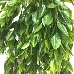 Best Sale π Hanging Ruscus Bush by Ashland® π 8 Best Sale π Hanging Ruscus Bush by Ashland® π -Ashlandty Shop 10626982 2