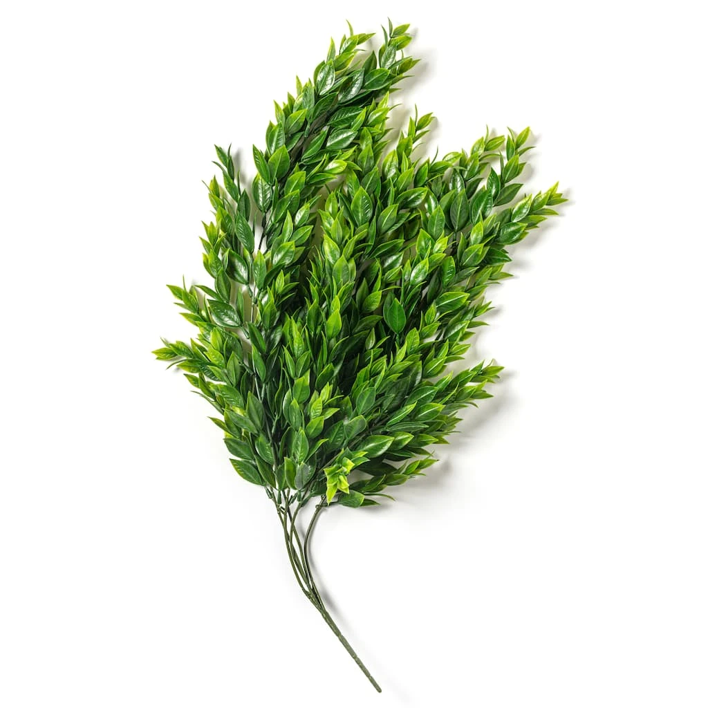 Best Sale π Hanging Ruscus Bush by Ashland® π 6 Best Sale π Hanging Ruscus Bush by Ashland® π - Image 4