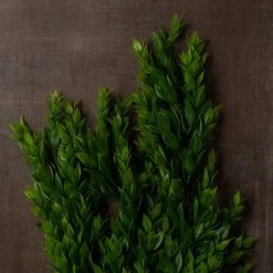 Best Sale π Hanging Ruscus Bush by Ashland® π 11 Best Sale π Hanging Ruscus Bush by Ashland® π -Ashlandty Shop 10626982 25