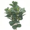 Outlet 🧨 Silver Dollar & Lamb's Ear Bush by Ashland® ⌛ -Ashlandty Shop 10626983