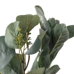 Outlet 🧨 Silver Dollar & Lamb's Ear Bush by Ashland® ⌛ -Ashlandty Shop 10626983 20