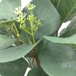 Outlet 🧨 Silver Dollar & Lamb's Ear Bush by Ashland® ⌛ -Ashlandty Shop 10626983 3