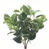 Coupon 💯 6 Pack: Green Pothos Bush by Ashland® 🌟 -Ashlandty Shop 10626988 1 1