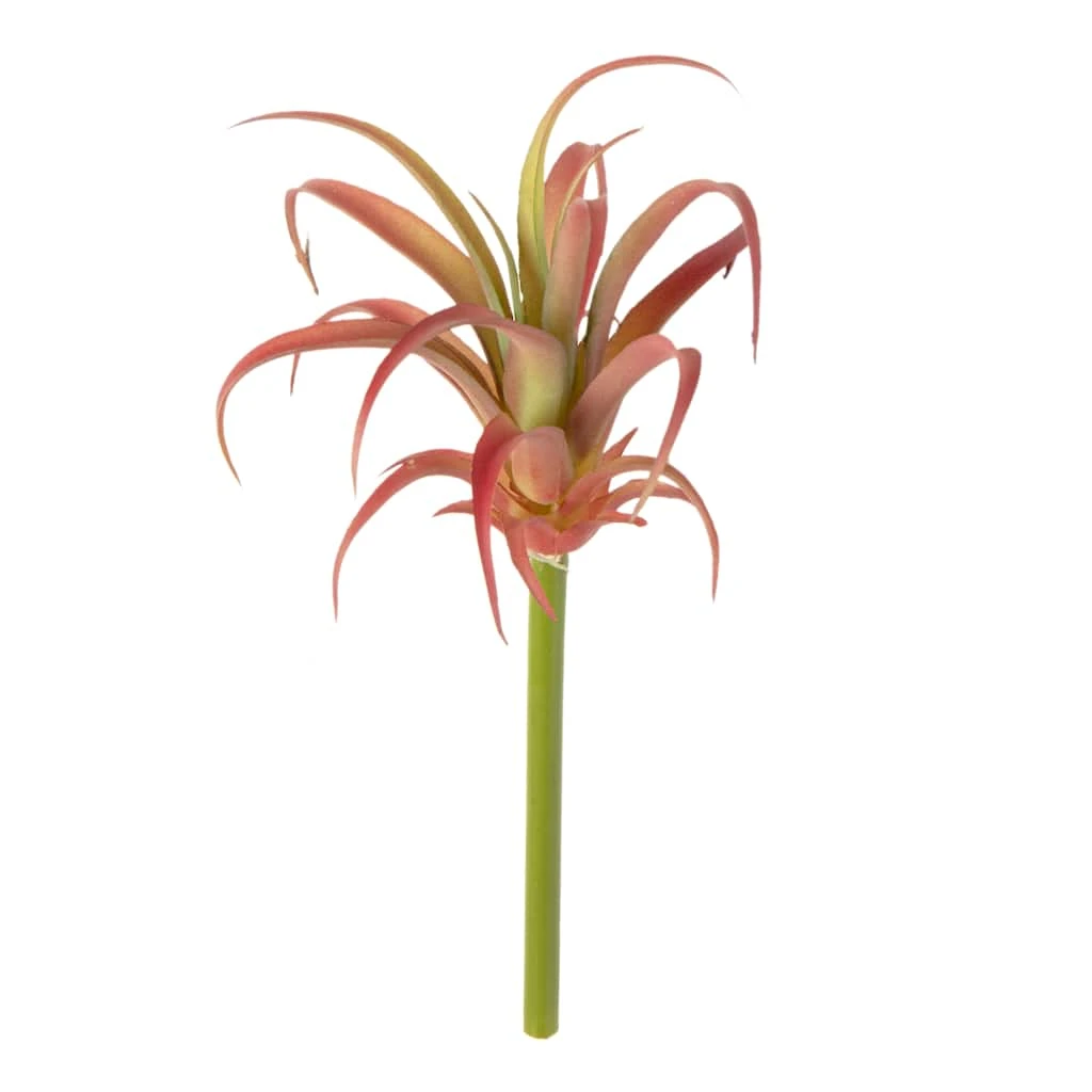 Budget 😉 Assorted Succulent Pick by Ashland® ❤️ 3 Budget 😉 Assorted Succulent Pick by Ashland® ❤️