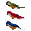 Top 10 ✔️ Assorted Feather Parrot by Ashland® 💯 -Ashlandty Shop 10627157 1