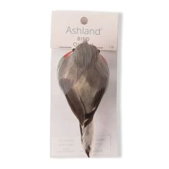 Cheap 🎁 Orange Breasted Feather Bird by Ashland® 🎁 -Ashlandty Shop 10627158 20