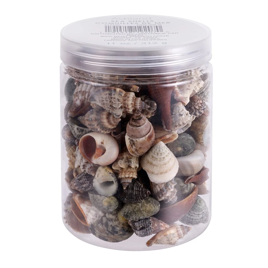Top 10 β¨ Natural Small Sea Shell Mix by Ashland® π 5 Top 10 β¨ Natural Small Sea Shell Mix by Ashland® π - Image 3