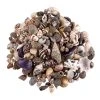 Wholesale ❤️ Natural Extra Small Sea Shell Mix by Ashland® 👍 -Ashlandty Shop 10627360 2
